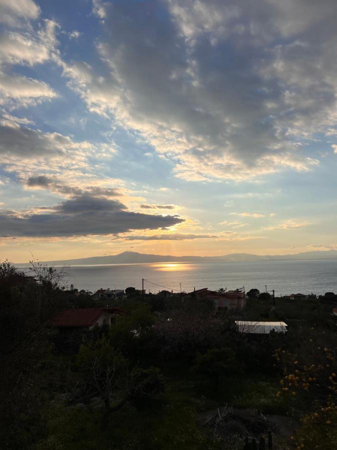 Panorama Studio Kalamata Ngoại thất bức ảnh